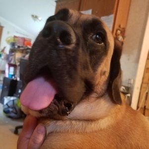 Meet your Posher, Pam